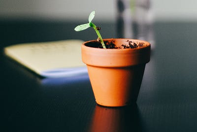 Bruce Mau’s Incomplete Manifesto for Growth: how to apply it daily