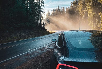 Tesla — How much did 1 year cost me?