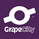 GrapeCity Developer Solutions