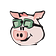 PigToken