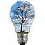 Environmental Ideas