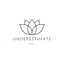 Underestimate Me