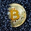 SupportTheCrypto