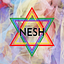 Nesh Magazine