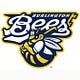 Burlington Bees
