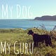 My Dog My Guru