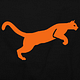 PUMA Promotion