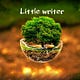 Little Writer