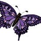 Fibro-My-Al-Not-Thank-You