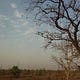 Shivanitiwari