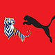 TigerPuma
