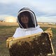 North Country Honey