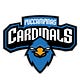PUC Campinas Cardinals eSports