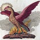 Phoenix Stark