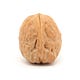 Brain Treacle
