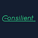 Consilient Team