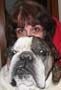 Carol Warady
