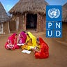 ONU Desarrollo