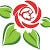 Bloom Charity