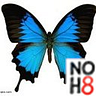 Black Butterfly