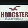 #hodgster
