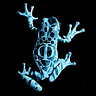 Φ