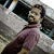 Venkat R