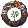GarbagetoGardenIndia
