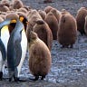 linuxusergroup