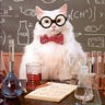Nasty Science Pussy