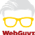The Webguyz