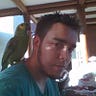 Gabriel Maciel Campanini