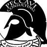 Peccavi Consults