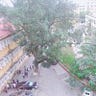 Đào Hoài Thanh