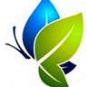 Triad Web Design
