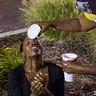 Theology of Ferguson