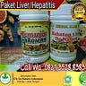 Pengobatan Herbal Liver hati