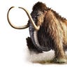 Agile Mammut