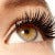 Holy Lashes