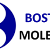 boston molecules