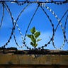 All About Bail Bonds