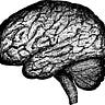 The Neurotic Dater