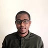 Hassan A. Elmi