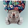 Not koalafied