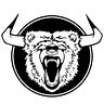 Bullish Bears