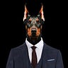 Coderhound