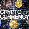 Tom Crypto
