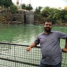Nitin Maul
