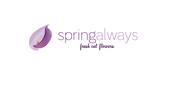 Allie Smith