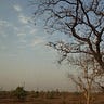 Shivanitiwari
